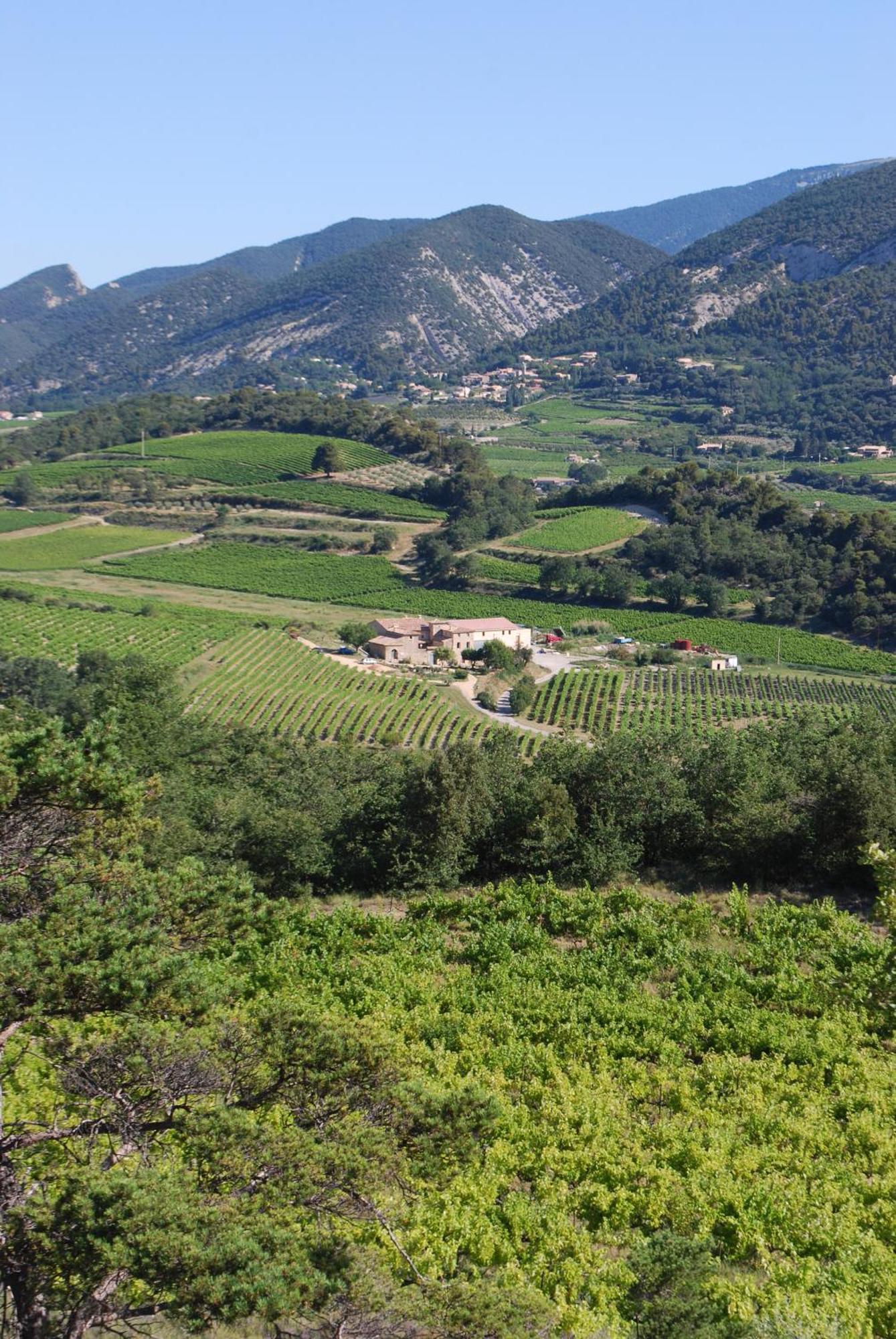 Domaine De Provensol Bed and Breakfast Venterol  Exteriör bild